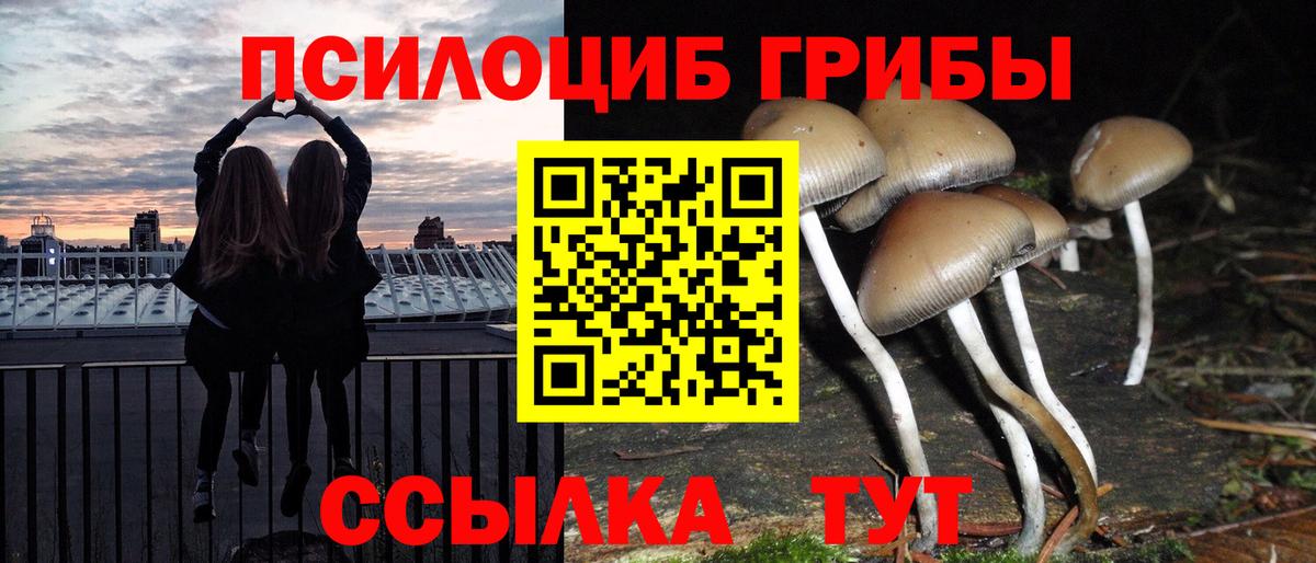 Псилоцибиновые грибы ЛСД  что такое   Вход с VPN  Тосно  Галлюциногенные грибы Magic Shrooms 