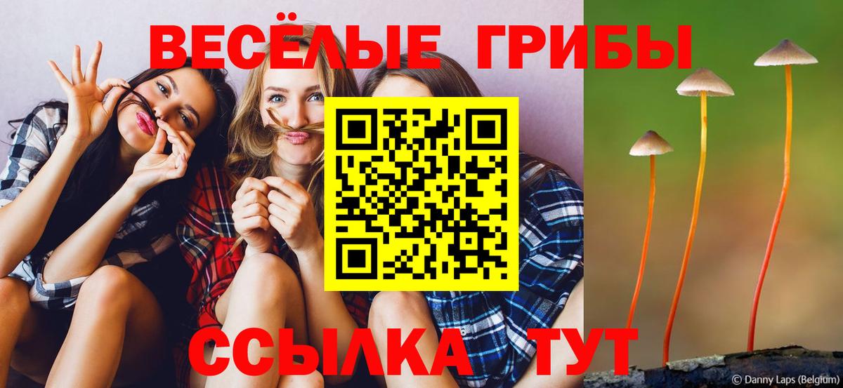 Галлюциногенные грибы Psilocybine cubensis Тосно